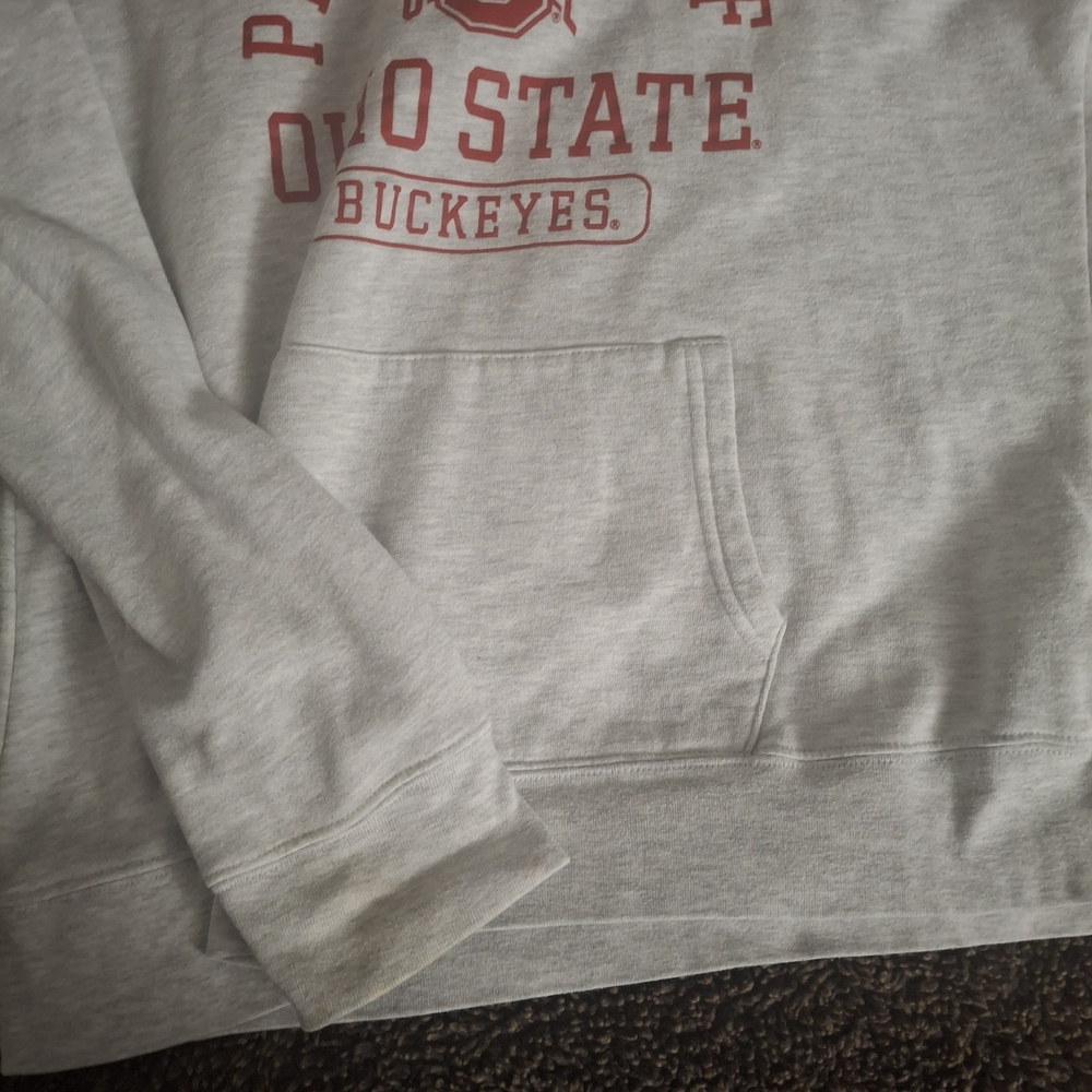 Ohio State Buckeyes Gray Hoodie - Picture 2 of 3